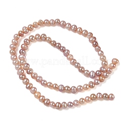 Natural Cultured Freshwater Pearl Beads Strands&nbsp;PA-CBAC463-28