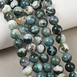 Natural Tree Agate Beads Strands&nbsp;G-I199-03-10mm