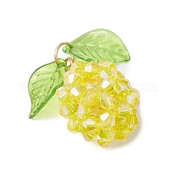 Glass Pendants&nbsp;PALLOY-MZ01074-03
