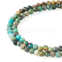 1 Strand Natural Turquoise Beads Strands&nbsp;G-TA0003-46