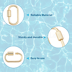 10Pcs Alloy Screw Carabiner Lock Charms&nbsp;FIND-DC0008-32G