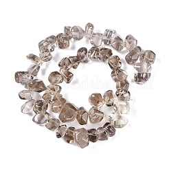 Natural Smoky Quartz Beads Strands&nbsp;G-B072-A01-02