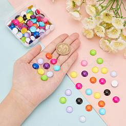 110Pcs 11 Color Glass Cabochons&nbsp;GGLA-PH0001-27