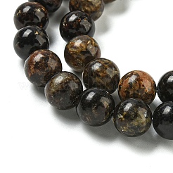 Natural Phlogopite Beads Strands&nbsp;G-P546-A01-04