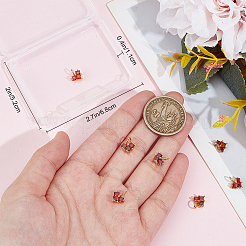 10Pcs Brass Cubic Zirconia Charms&nbsp;ZIRC-BBC0003-05