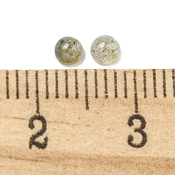 Natural Labradorite Cabochons&nbsp;G-Q173-01A-15