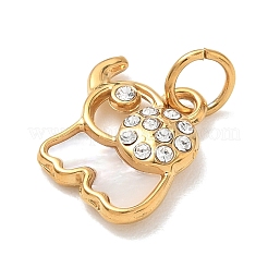 304 Stainless Steel Pendants&nbsp;STAS-C180-03G
