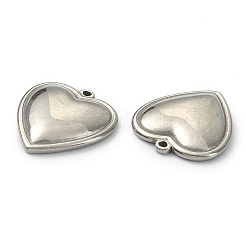 Non-Tarnish 304 Stainless Steel Pendants&nbsp;STAS-E191-17P-01