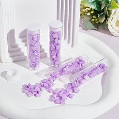 304Pcs 2-Hole Glass Seed Beads&nbsp;SEED-NB0001-70