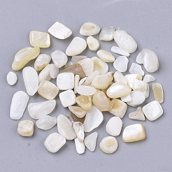 Freshwater Shell Beads&nbsp;X-SHEL-S266-11