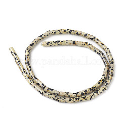 Natural Dalmatian Jasper Beads Strands&nbsp;X-G-F247-21