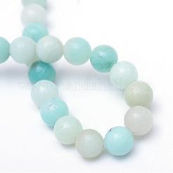 Round Natural Grade A Amazonite Bead Strands&nbsp;G-R345-6mm-16