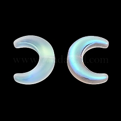 Gradient Handmade Lampwork Beads&nbsp;LAMP-C005-02F