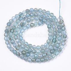 Natural Apatite Beads Strands&nbsp;G-R462-026B