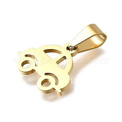 304 Stainless Steel Pendants&nbsp;STAS-H453-21G
