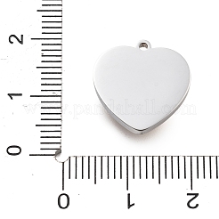 304 Stainless Steel Pendants&nbsp;STAS-R155-060G