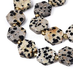 Natural Dalmatian Jasper Beads Strands&nbsp;G-N368-01A-03