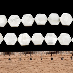Natural White Shell Beads Strands&nbsp;SHEL-G022-01