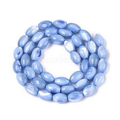 Natural Trochus Shell Beads Strands&nbsp;SHEL-K006-19-01A