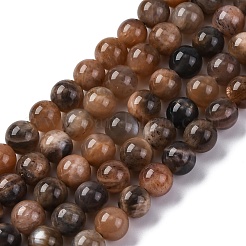 Natural Black Moonstone Beads Strands&nbsp;G-A219-A01-02