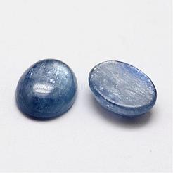 Oval Natural Kyanite/Cyanite/Disthene Cabochons&nbsp;G-O147-01C