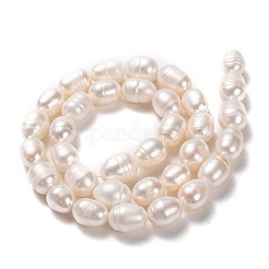 Natural Cultured Freshwater Pearl Beads Strands&nbsp;PEAR-L033-82-01