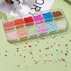 12 Style 12/0 Glass Seed Beads&nbsp;SEED-YW0001-49C