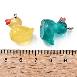 Resin Pendants&nbsp;RESI-S001-01C