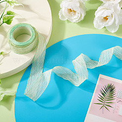 Polyester Crumpled Ribbon&nbsp;OCOR-TAC0035-12A
