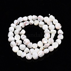 Natural Trochid Shell/Trochus Shell Beads Strands&nbsp;SSHEL-N032-48