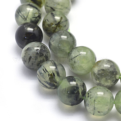 Natural Prehnite Beads Strands&nbsp;G-K224-03-10mm