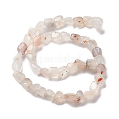 Natural Agate Beads Strands&nbsp;G-F745-01