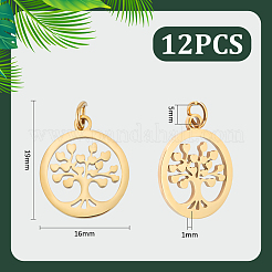 304 Stainless Steel Pendants&nbsp;STAS-UN0060-03G