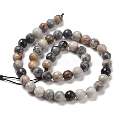 Natural Polychrome Jasper/Picasso Stone/Picasso Jasper Bead Strands&nbsp;G-E571-17A