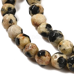 Natural Dalmatian Jasper Beads Strands&nbsp;G-Z068-B07-01