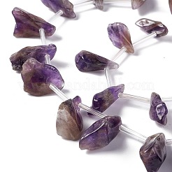 Natural Amethyst Beads Strands&nbsp;G-I329-02