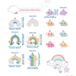 48Pcs 12 Style Resin Pendants&nbsp;RESI-KS0001-10