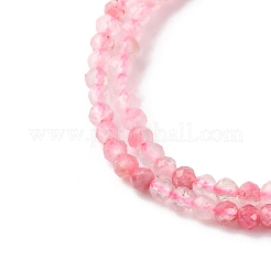 Natural Rhodonite Beads Strands&nbsp;G-Z083-A01-2mm