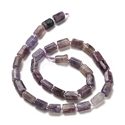 Natural Lepidolite/Purple Mica Stone Beads Strands&nbsp;G-K245-I16-01