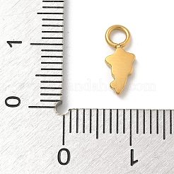 Ion Plating(IP) 304 Stainless Steel Enamel Charms&nbsp;STAS-G351-06G-03