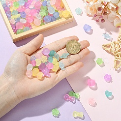 300Pcs 6 Styles Frosted Transparent Acrylic Beads&nbsp;FACR-YW0001-13