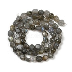 Natural Labradorite Beads Strands&nbsp;G-Q060-B02