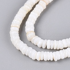 Natural Freshwater Shell Beads Strands&nbsp;SHEL-Q028-01