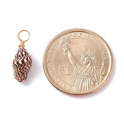 Natural Shell Pendants&nbsp;PALLOY-JF01164-02