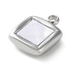 304 Stainless Steel Acrylic Pendants&nbsp;LS-STAS-M091-02D-P