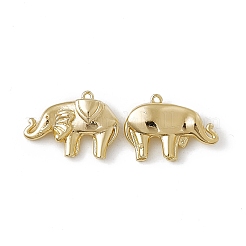 Brass Pendants&nbsp;KK-K271-14G