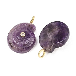 Natural Amethyst Pendants&nbsp;G-H353-02G-07