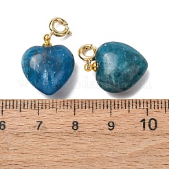 Natural Apatite Heart Pendant Decorations&nbsp;G-B188-06G-08