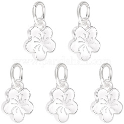 5Pcs 925 Sterling Silver Charms&nbsp;STER-BBC0009-44B