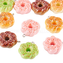 10Pcs Resin Pendants&nbsp;FIND-TA0008-33